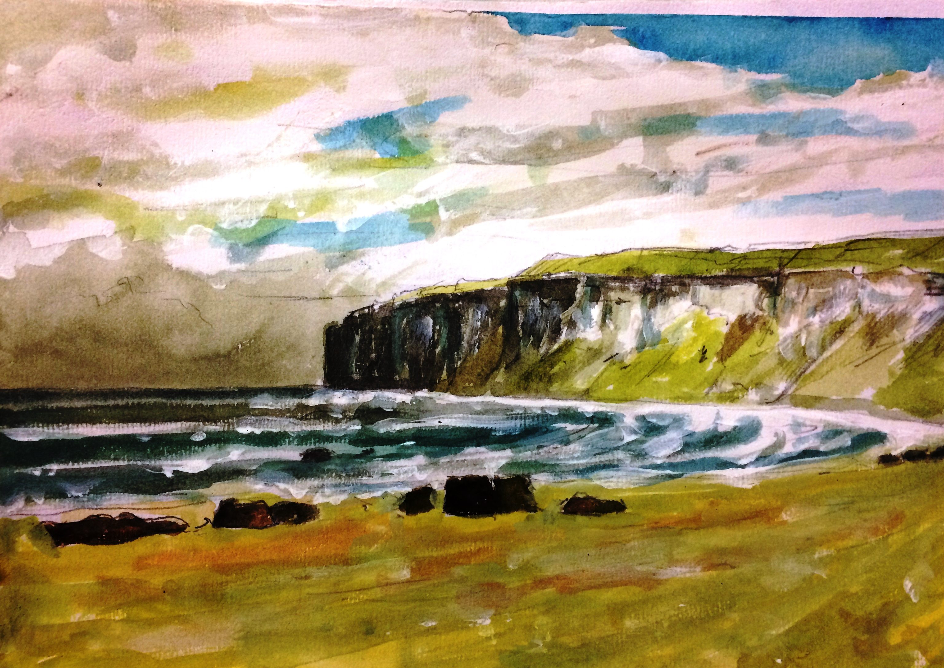 Bempton-Cliffs-July-2015