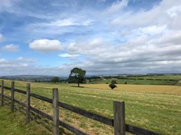 Frances Georgina - Leeds -nRawdon Billing
