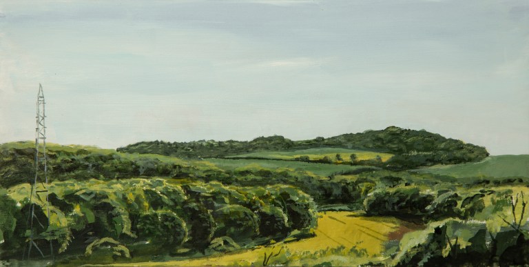 T Wade-Landscape Repro-17