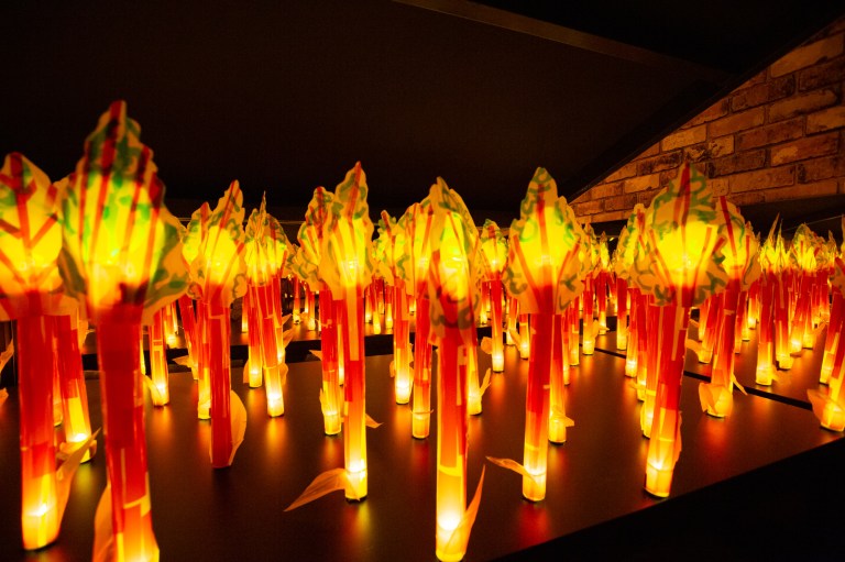 02509_rhubarb_festival