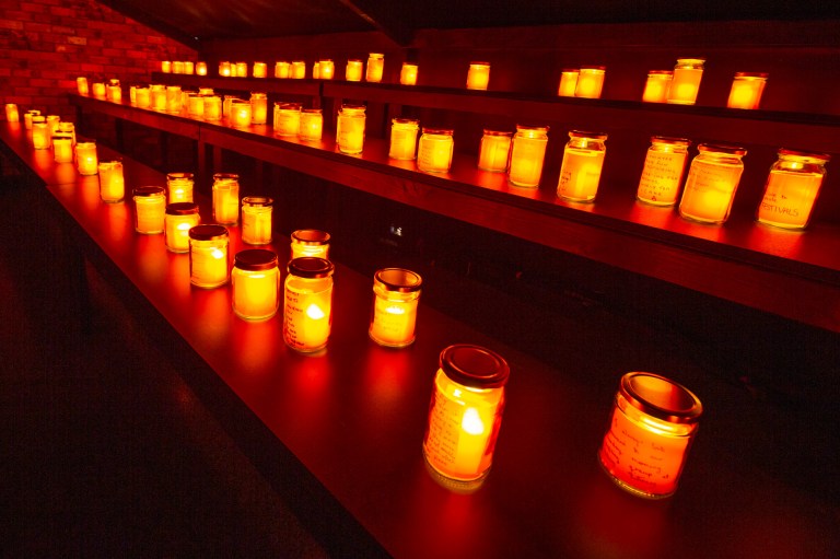 02539_rhubarb_festival