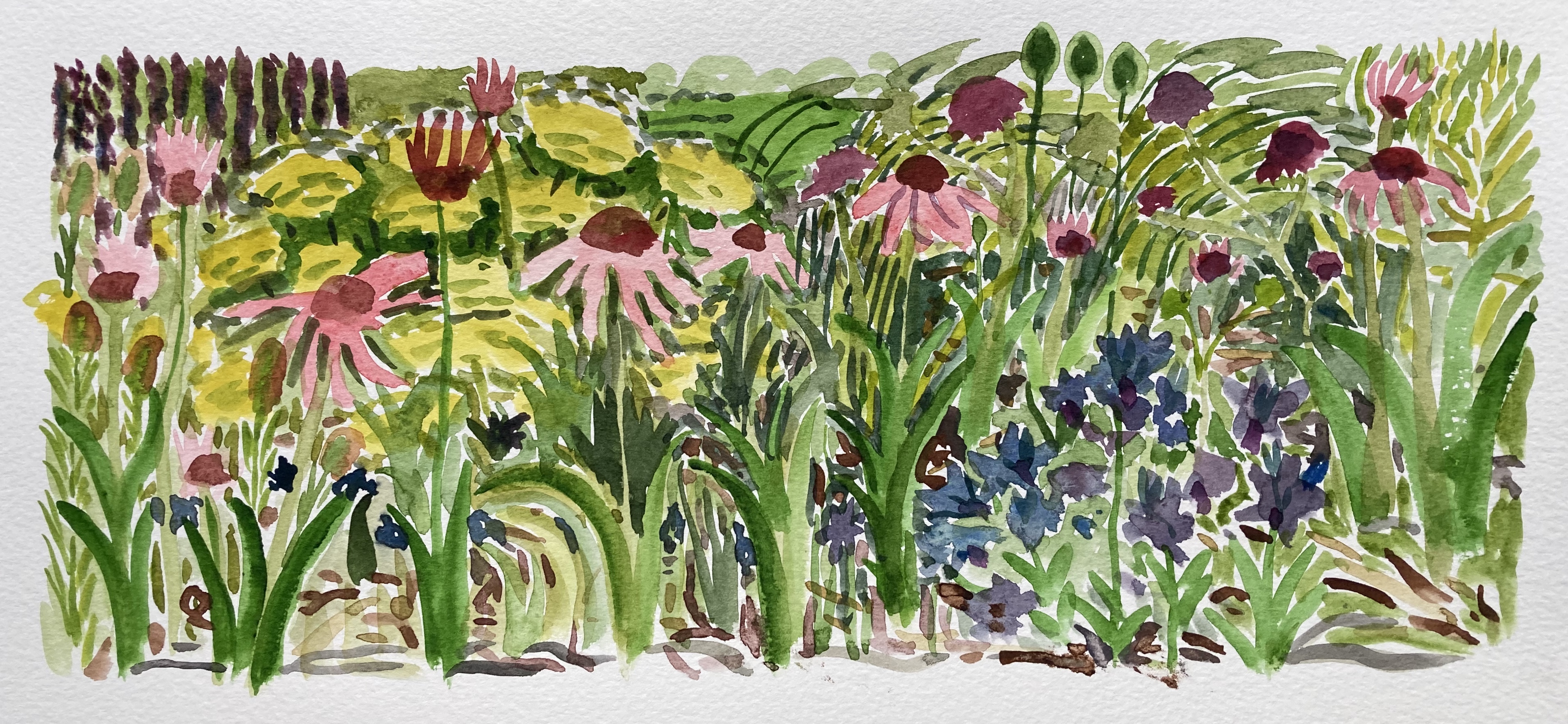 12 Wednesday 23rd June 2020