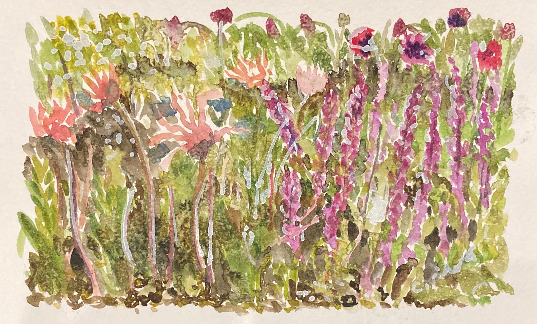 4 Friday 12th June 2020 (2)