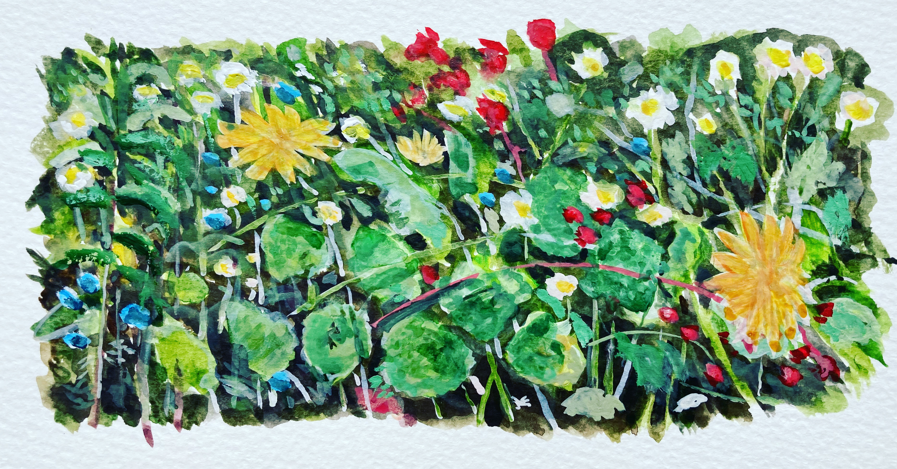 5 Saturday 13th June 2020 (2)